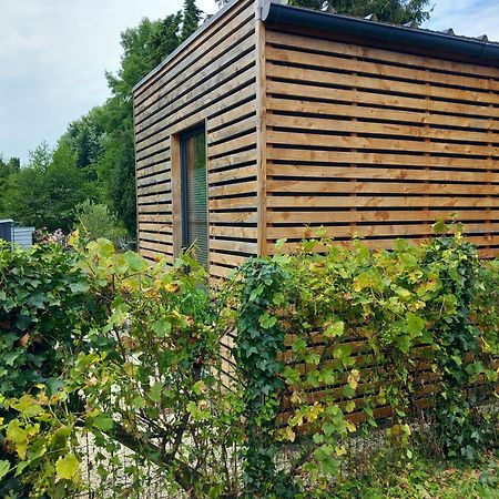 Lodge Au Vent Savigne-l'Eveque Екстериор снимка